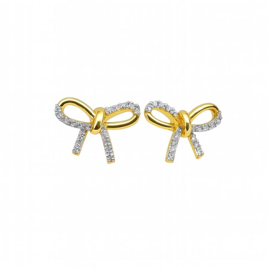 Amy Fiyonk Küpe - 2