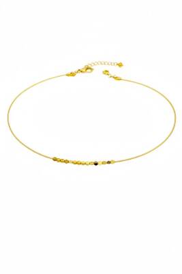 Ashle İthal Tasma Kolye - (1)