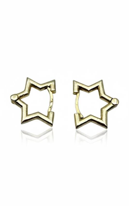 Ivy Yıldız Küpe - 1