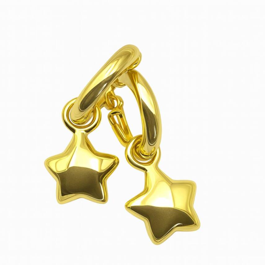 Joie Yıldız Küpe - 2