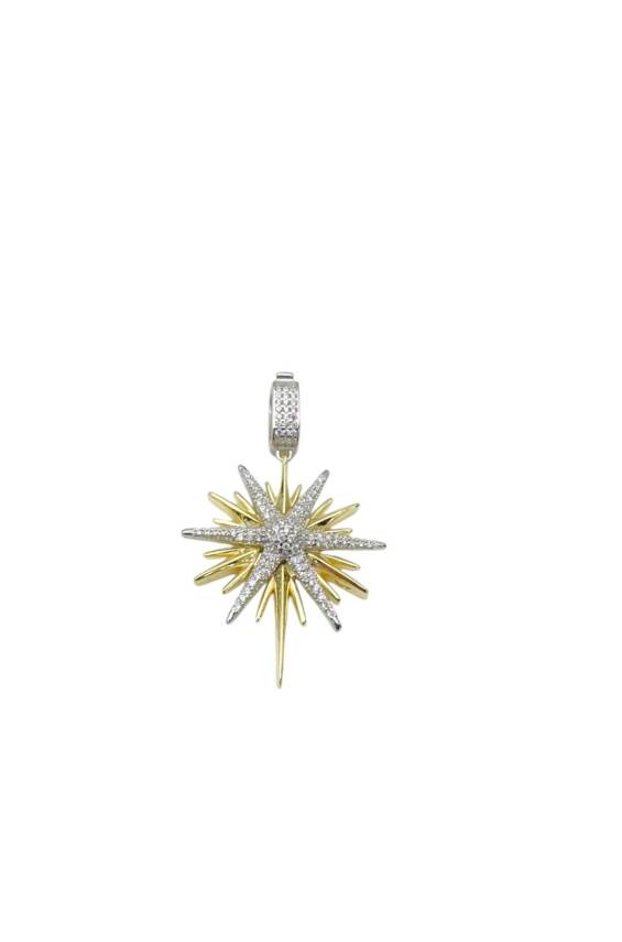 Starfish Kolye Ucu - 1